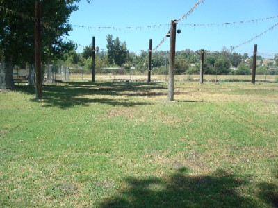 Tent Camping Area